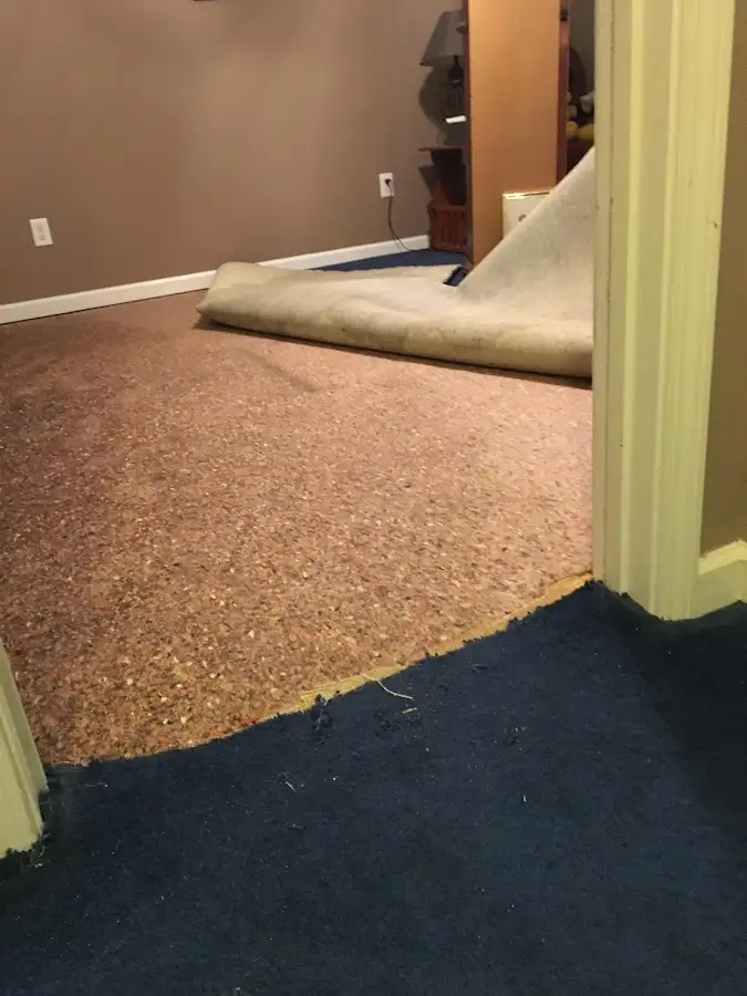 Carpet pad removal revealing water damage during Drying & Dehumidification in Catasauqua