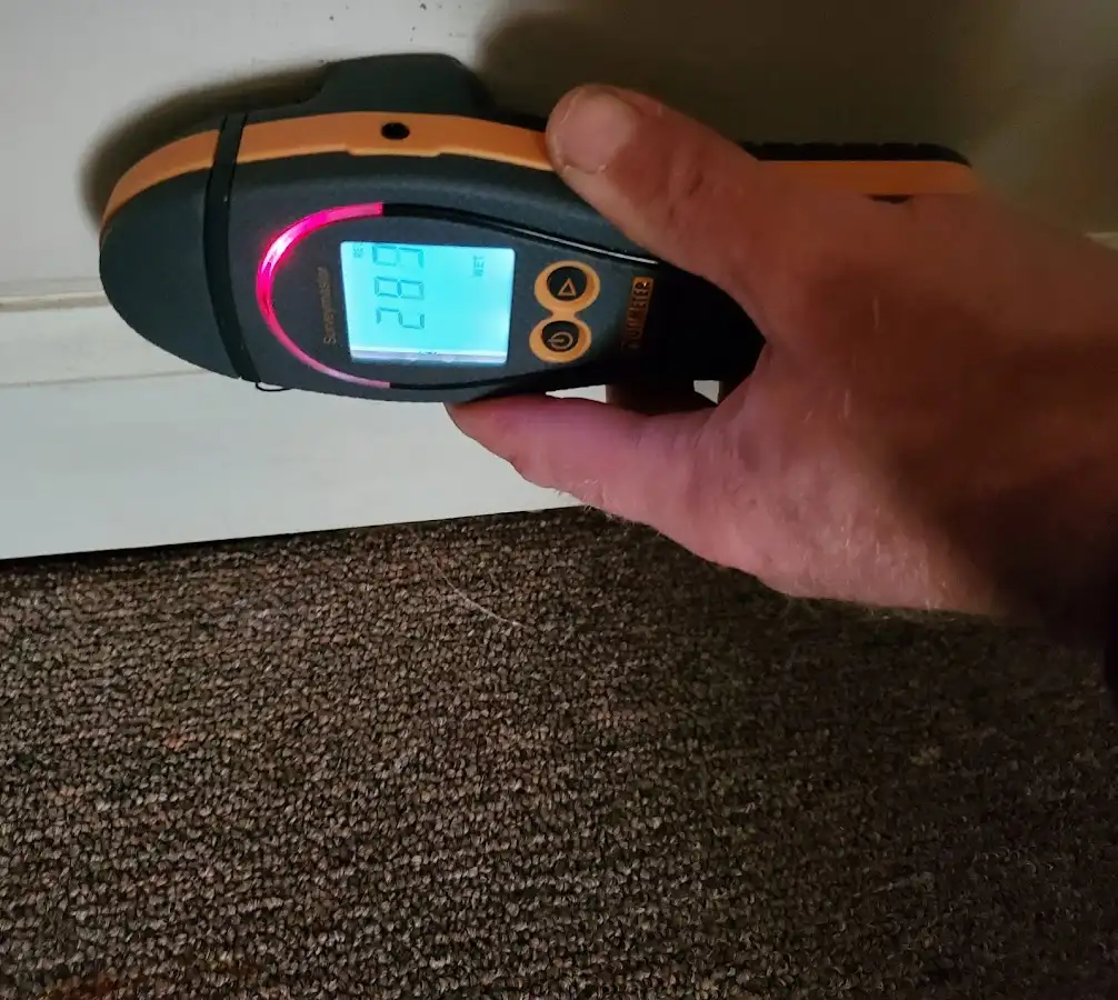 Moisture detection at baseboard during Sewage Cleanup & Sanitation in Catasauqua
